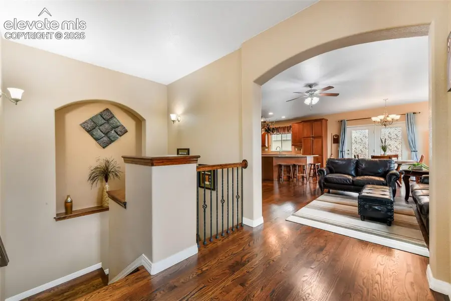 7867 Silver Birch Drive, Colorado Springs, CO 80927 - #3