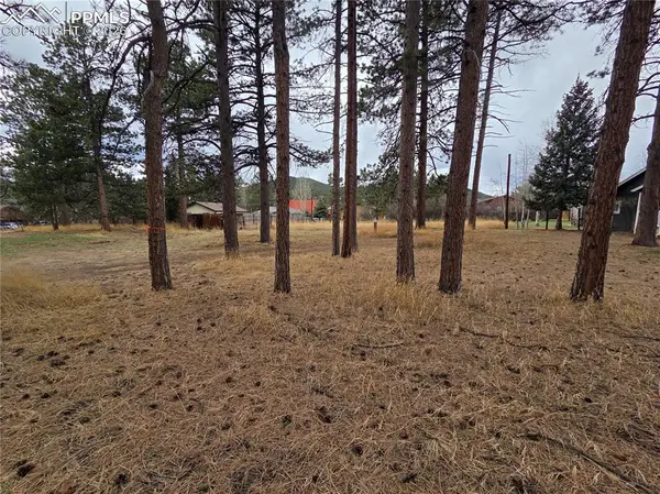 224 S Fairview Street, Woodland Park, CO 80863