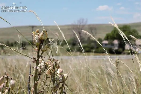 Tract 5 Mcclelland Road, Calhan, CO 80808