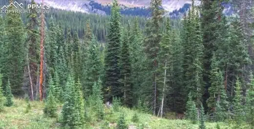 765.2a, Almont, CO 81210 - #2