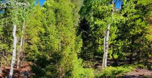 765.2a, Almont, CO 81210 - #3