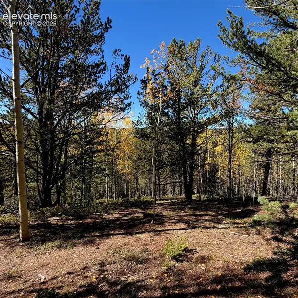 773 Timber Ridge Road, Divide, CO 80814