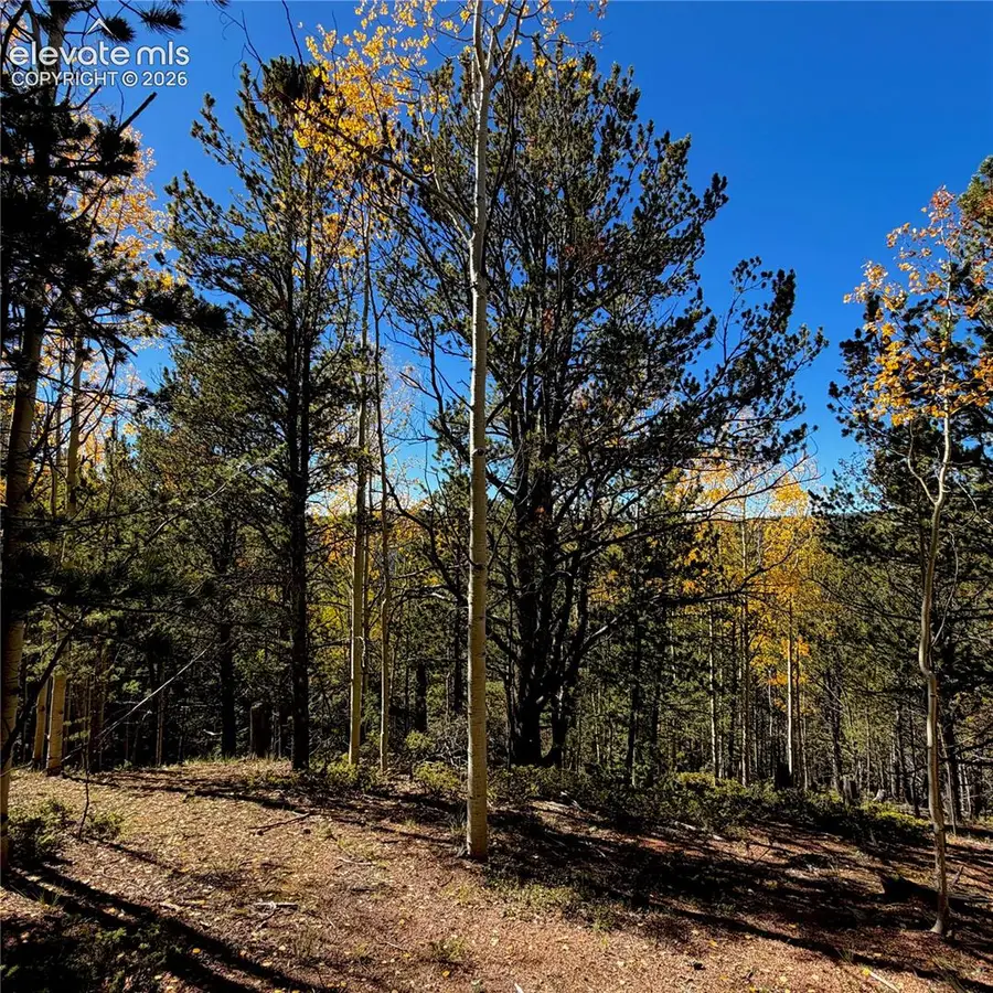 773 Timber Ridge Road, Divide, CO 80814 - #2