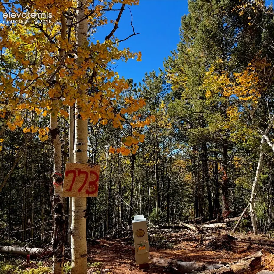 773 Timber Ridge Road, Divide, CO 80814 - #3