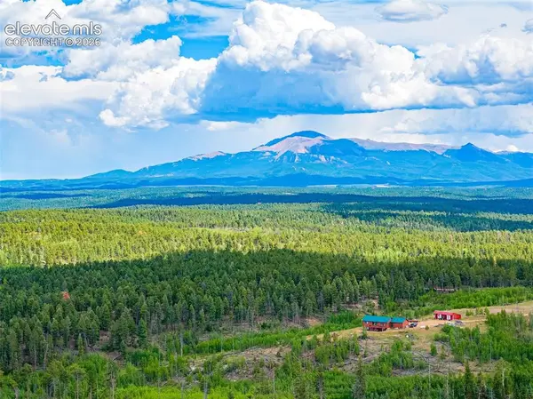 Unit 4 County Road 51, Florissant, CO 80816