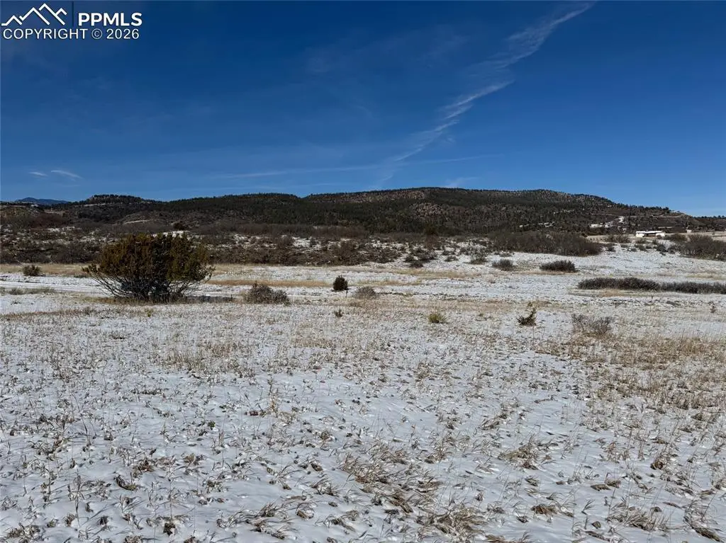 Antoinette Lane, Colorado City, CO 81004 - #1