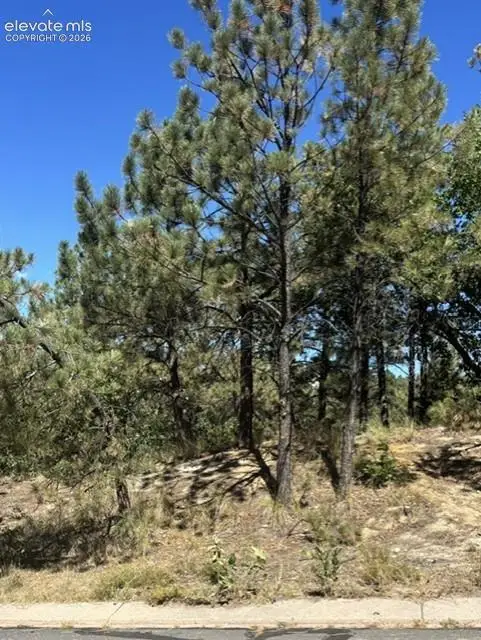 5831 Spurwood Court, Colorado Springs, CO 80918 - #1