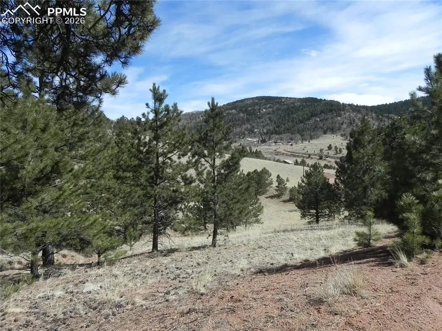 1087 Monarch Drive, Cripple Creek, CO 80813 - #2