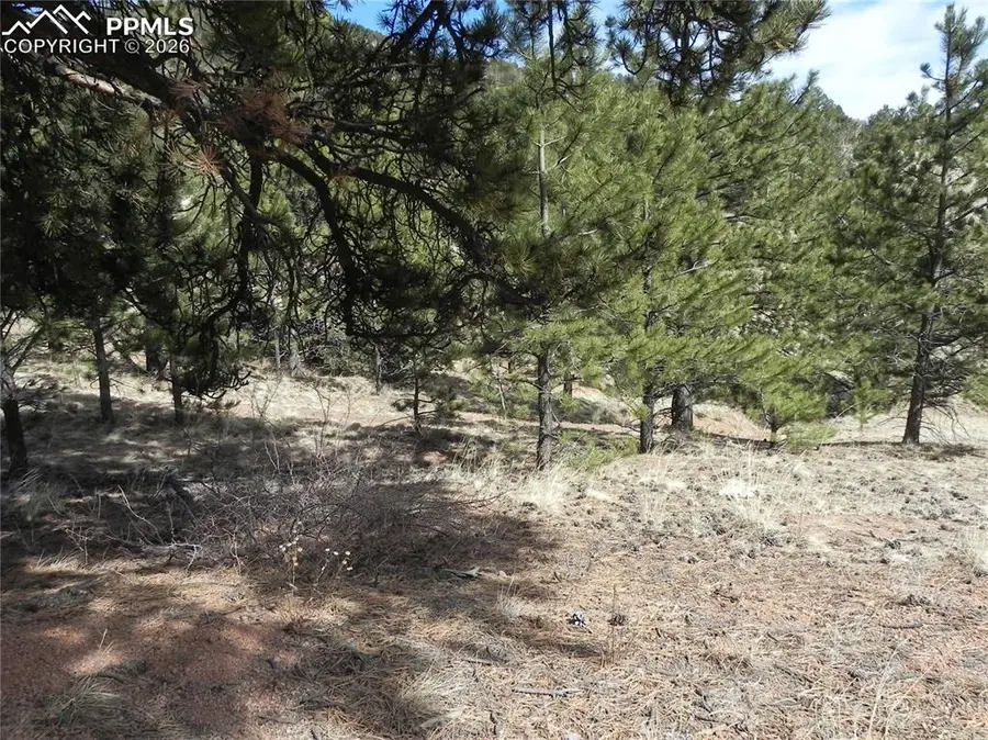 1087 Monarch Drive, Cripple Creek, CO 80813 - #3