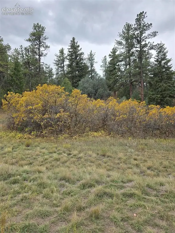 4716 Comanche Drive, Larkspur, CO 80118