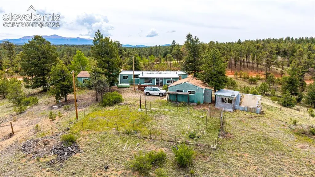 357 County Road 46, Florissant, CO 80816 - #1