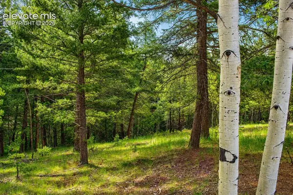 123 Ellis Lake Circle, Divide, CO 80814