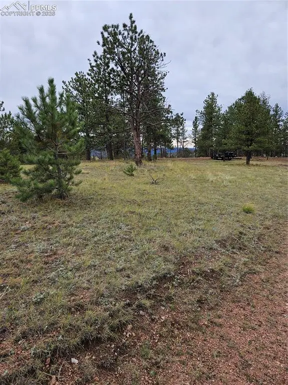 208 Eaglecrest Drive, Florissant, CO 80816 - #1