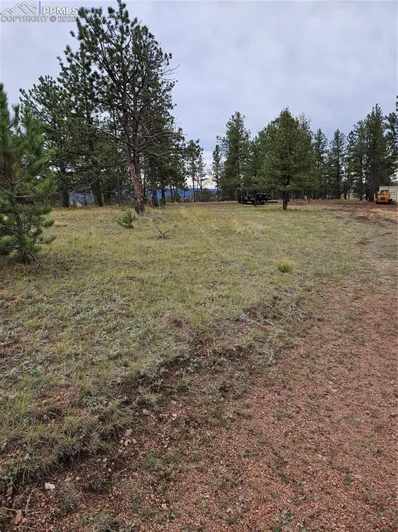 208 Eaglecrest Drive, Florissant, CO 80816 - #2