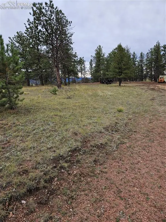 208 Eaglecrest Drive, Florissant, CO 80816 - #3