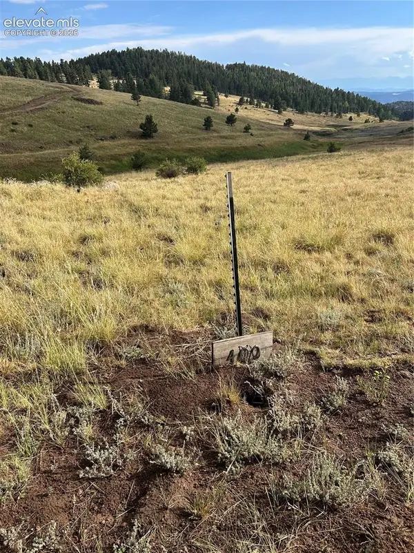1100 Grumpy Burrow View, Cripple Creek, CO 80863