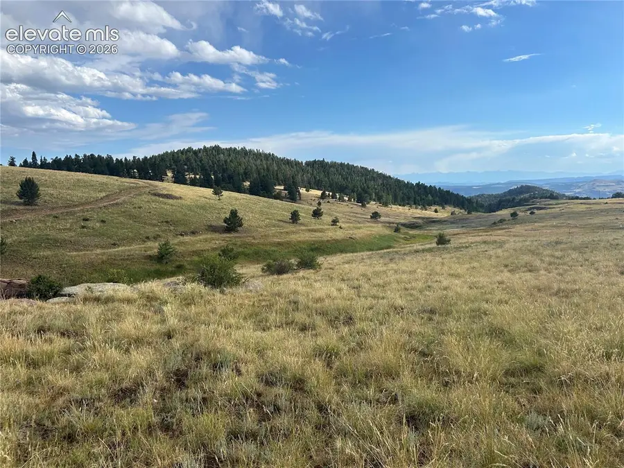 1100 Grumpy Burrow View, Cripple Creek, CO 80863 - #2