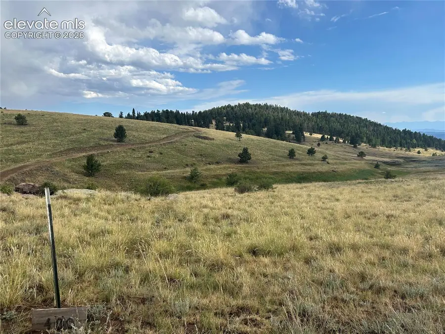 1100 Grumpy Burrow View, Cripple Creek, CO 80863 - #3