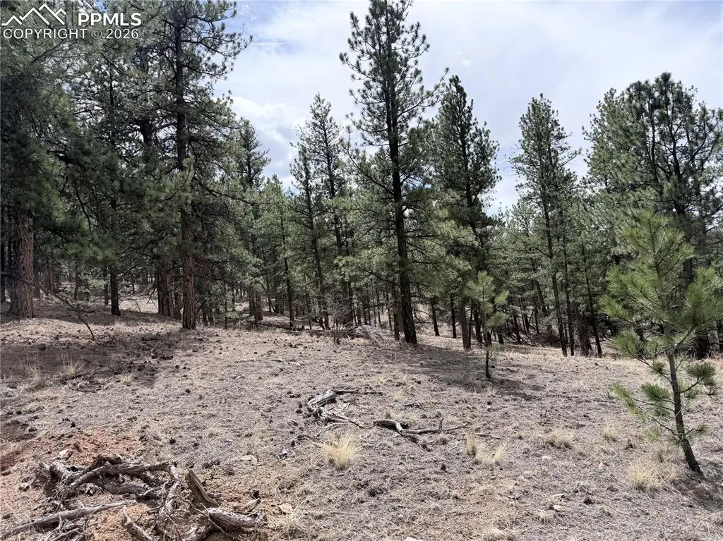 88 Crystal Lane, Lake George, CO 80827 - #1