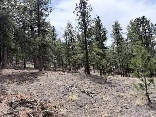 88 Crystal Lane, Lake George, CO 80827