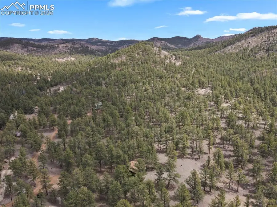 88 Crystal Lane, Lake George, CO 80827 - #3