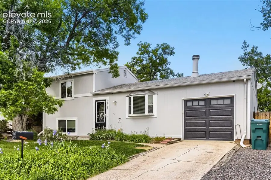 9831 W 105th Avenue, Broomfield, CO 80021 - #3