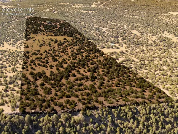 115 Cedar Canyon Road, Walsenburg, CO 81089