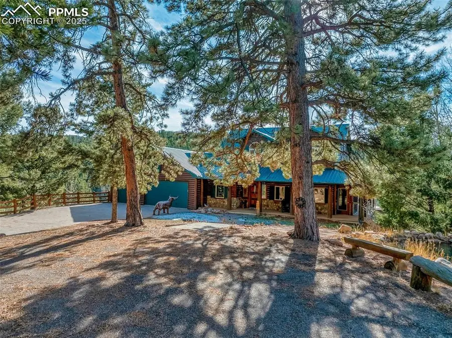 528 Mohawk Heights, Florissant, CO 80816 - Image #2