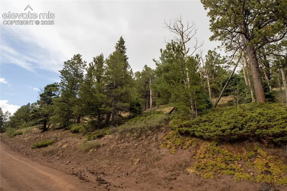 Lot 2797 Moir Drive, Fort Garland, CO 81133 - #1