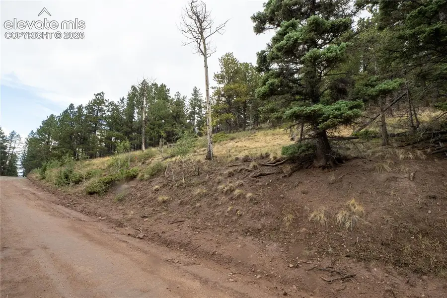 Lot 2797 Moir Drive, Fort Garland, CO 81133 - #2