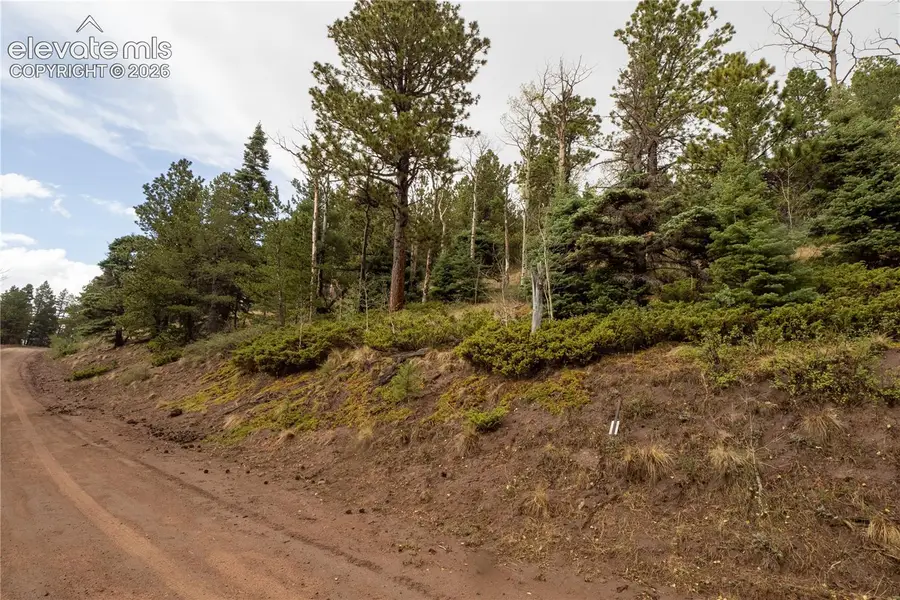 Lot 2797 Moir Drive, Fort Garland, CO 81133 - #3