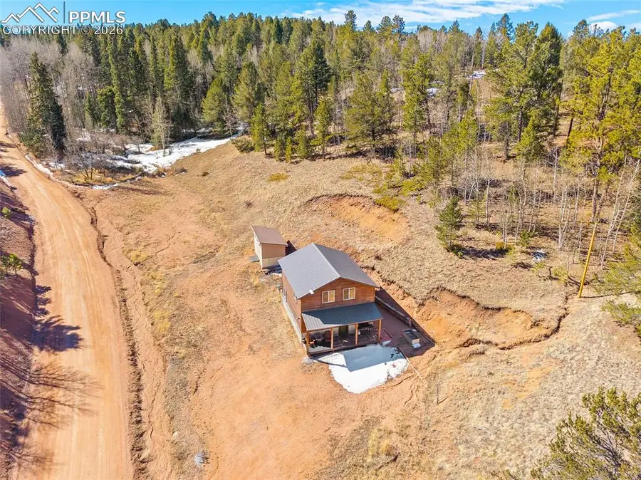 213 Willow Road, Divide, CO 80814 - #3