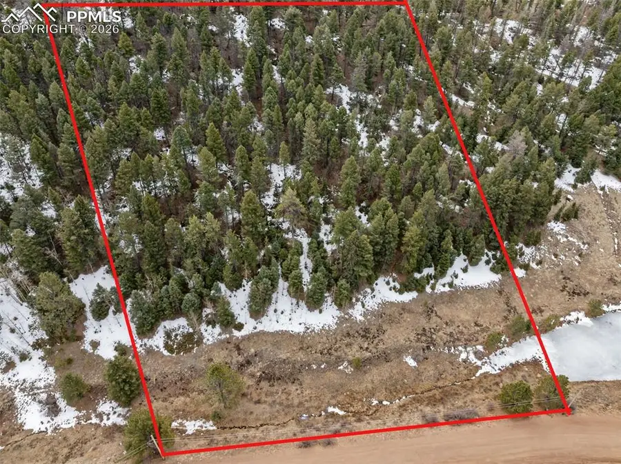 278 Penrose Circle, Cripple Creek, CO 80813 - #3