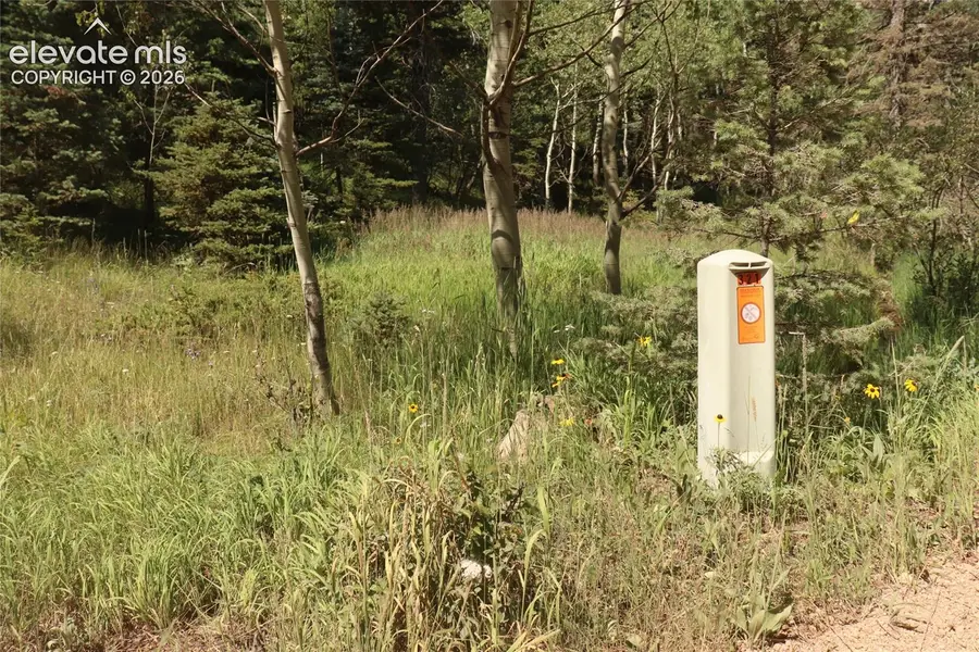 208 Coffee Road, Manitou Springs, CO 80829 - #2