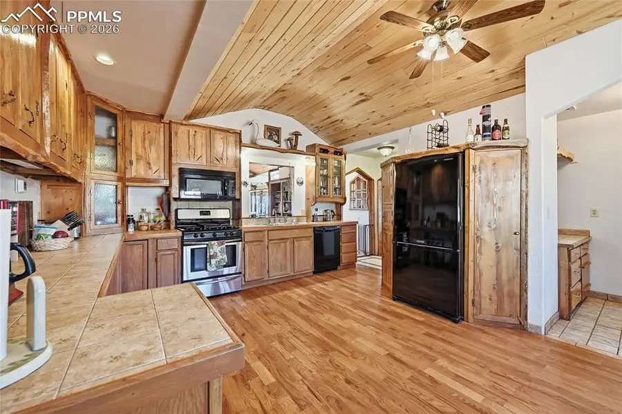 556 Circle Drive, Florissant, CO 80816 - #3