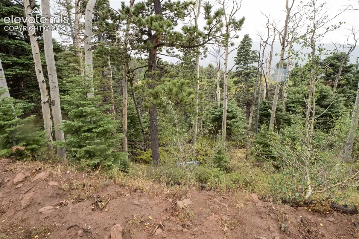 Lot 2825 Moir Drive, Fort Garland, CO 81133 - #1