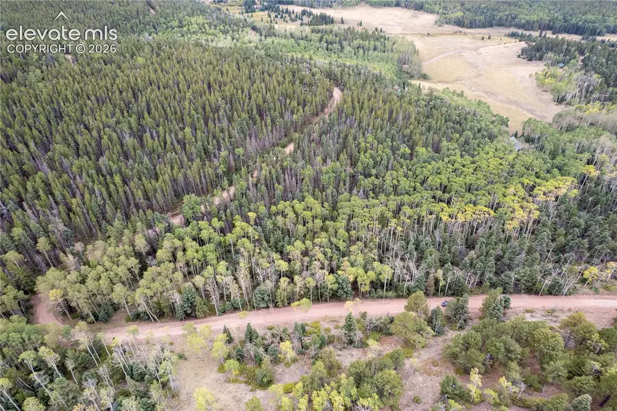 Lot 2825 Moir Drive, Fort Garland, CO 81133 - #2