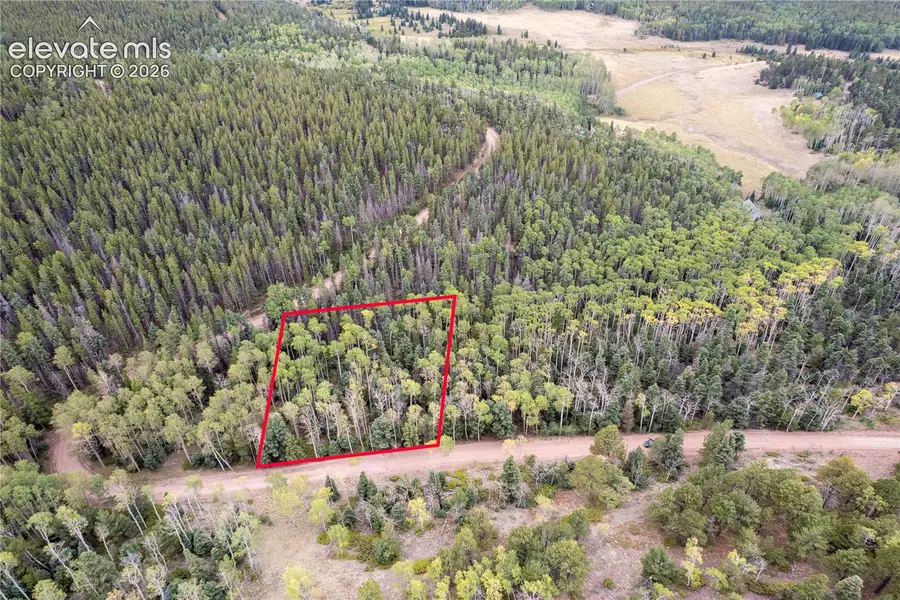 Lot 2825 Moir Drive, Fort Garland, CO 81133 - #3