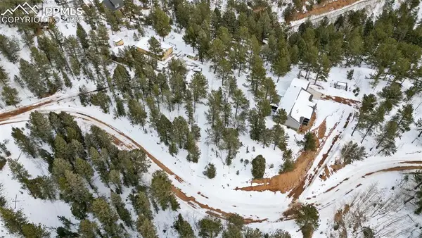 694 Horseshoe Drive, Divide, CO 80814