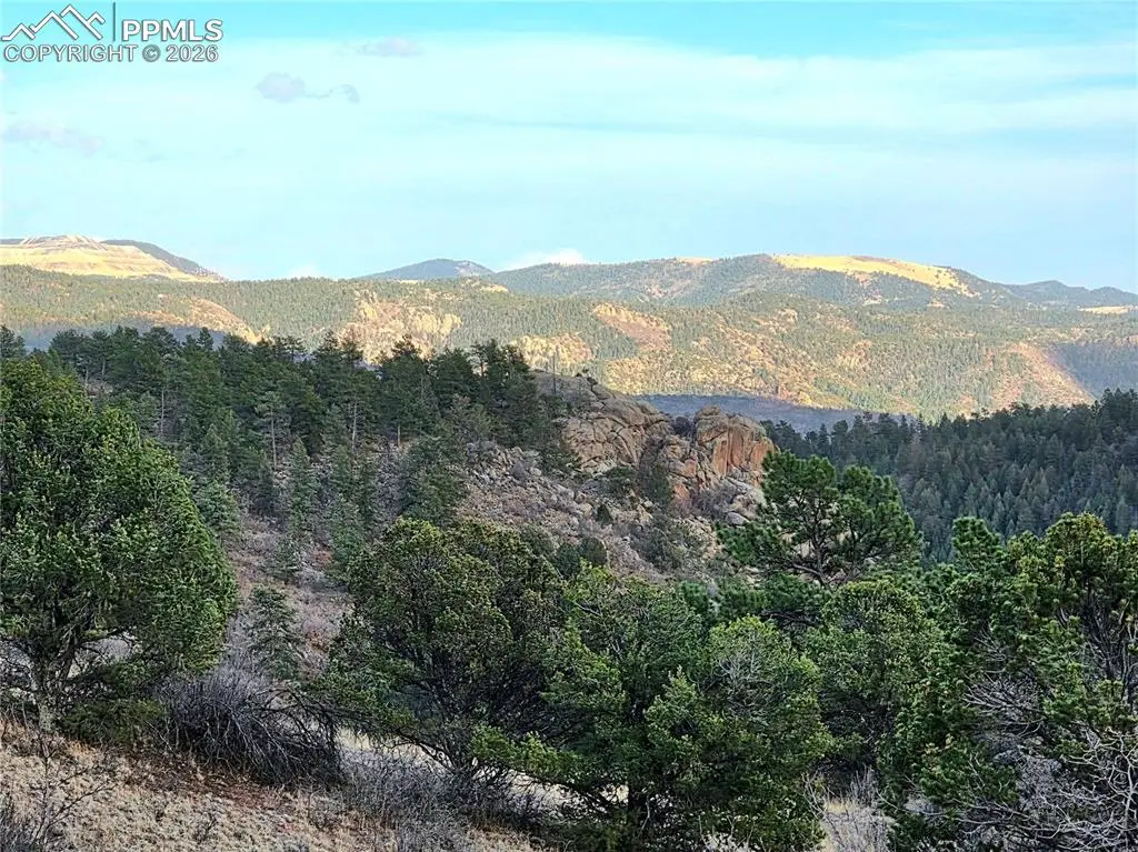 204 Pine Road, Florissant, CO 80816 - #1