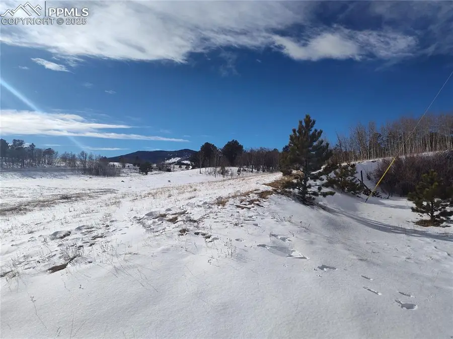29 Hidden Valley Drive, Florissant, CO 80816 - Image #2