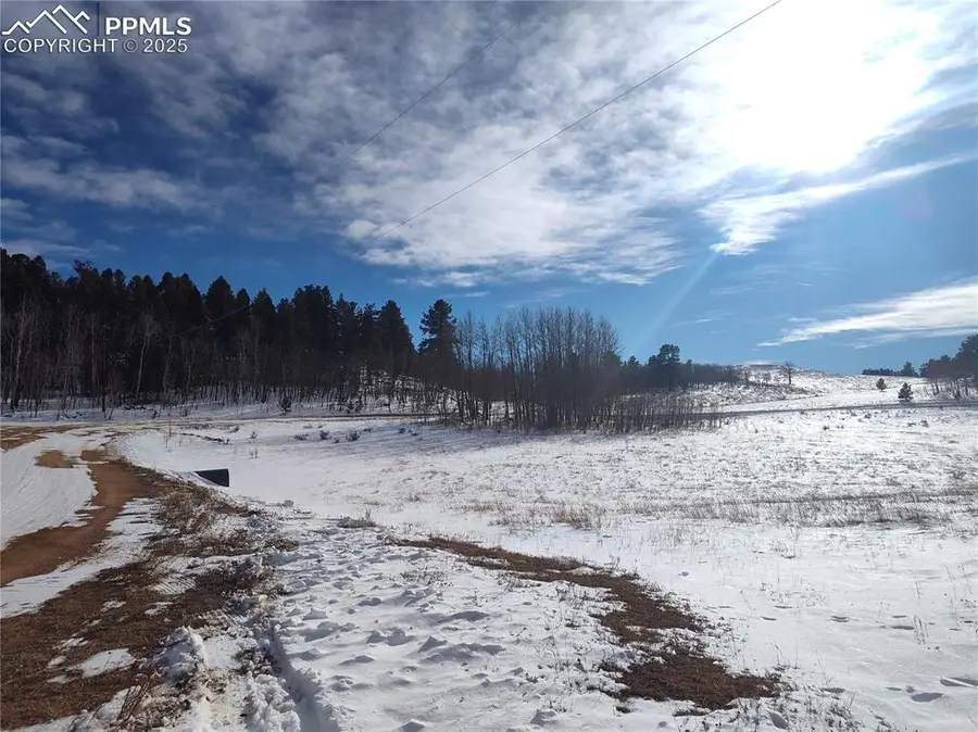 29 Hidden Valley Drive, Florissant, CO 80816 - Image #3