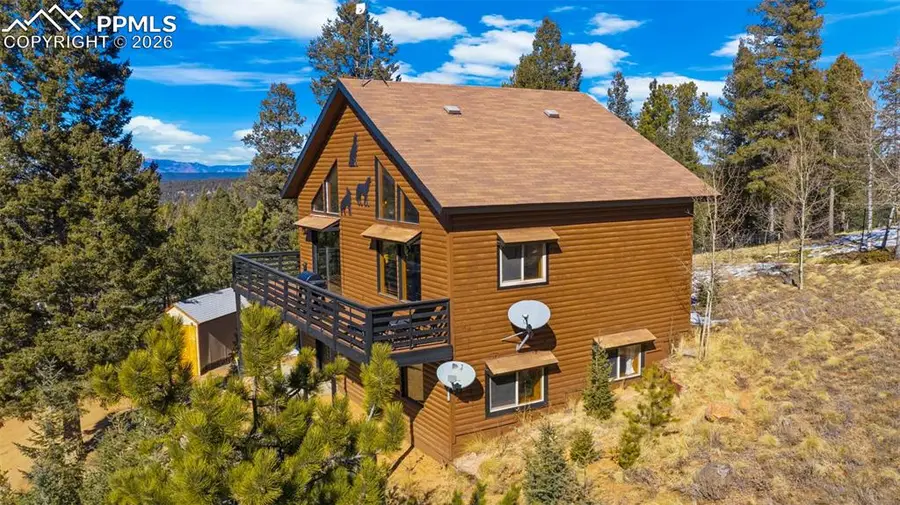 104 Mt Elbert Drive, Florissant, CO 80816 - #3