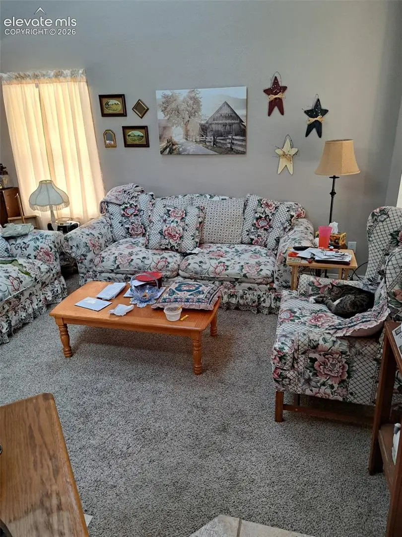245 Pointer Place, Colorado Springs, CO 80911 - #3
