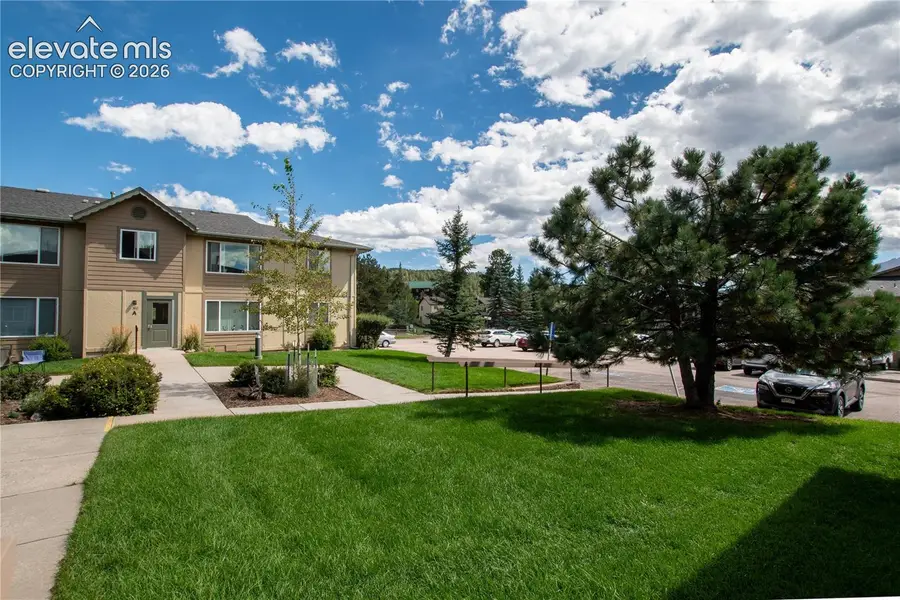 380 Paradise Circle #C6, Woodland Park, CO 80863 - #2