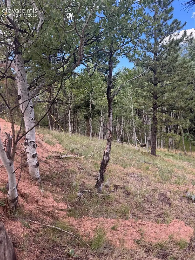40 Sequoia Trail, Woodland Park, CO 80863 - #1