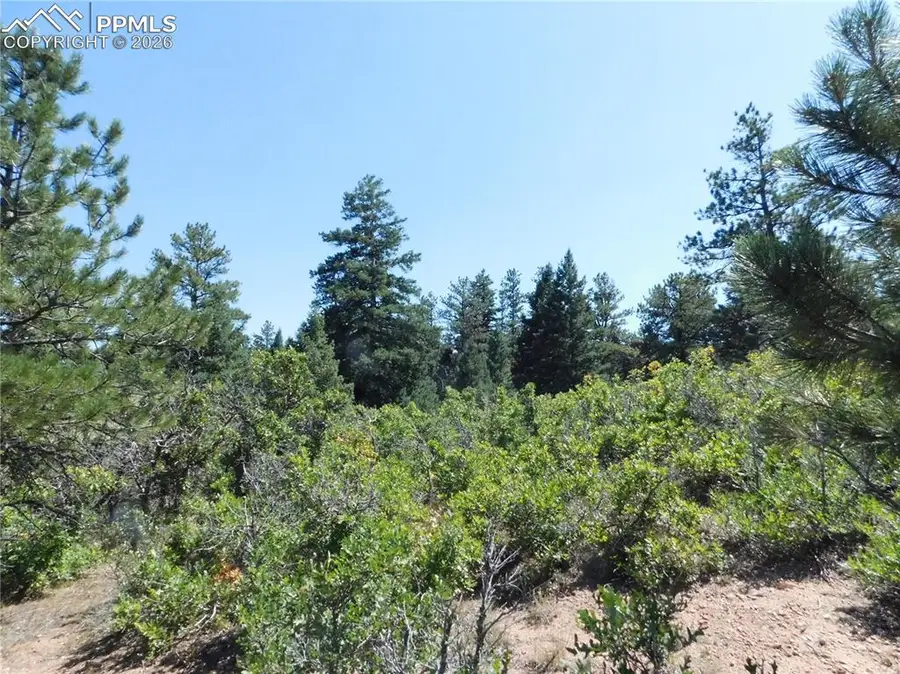 Lot 9 Troon Court, Larkspur, CO 80118 - #3