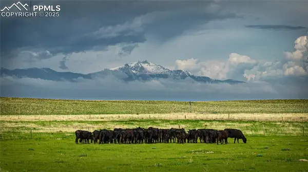 Squirrel Creek Road, Colorado Springs, CO 80928