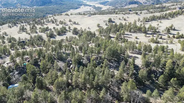 421 Crescent Drive, Florissant, CO 80816