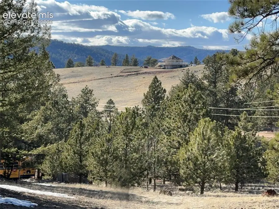 421 Crescent Drive, Florissant, CO 80816 - #2